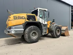 Liebherr-L550 Xpower-2016-212656