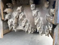 Wirtgen-W100Fi-2014-211822